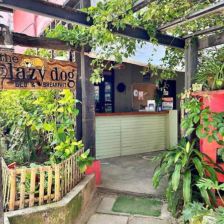 Lazy Dog Bed & Breakfast Balabag  Екстериор снимка