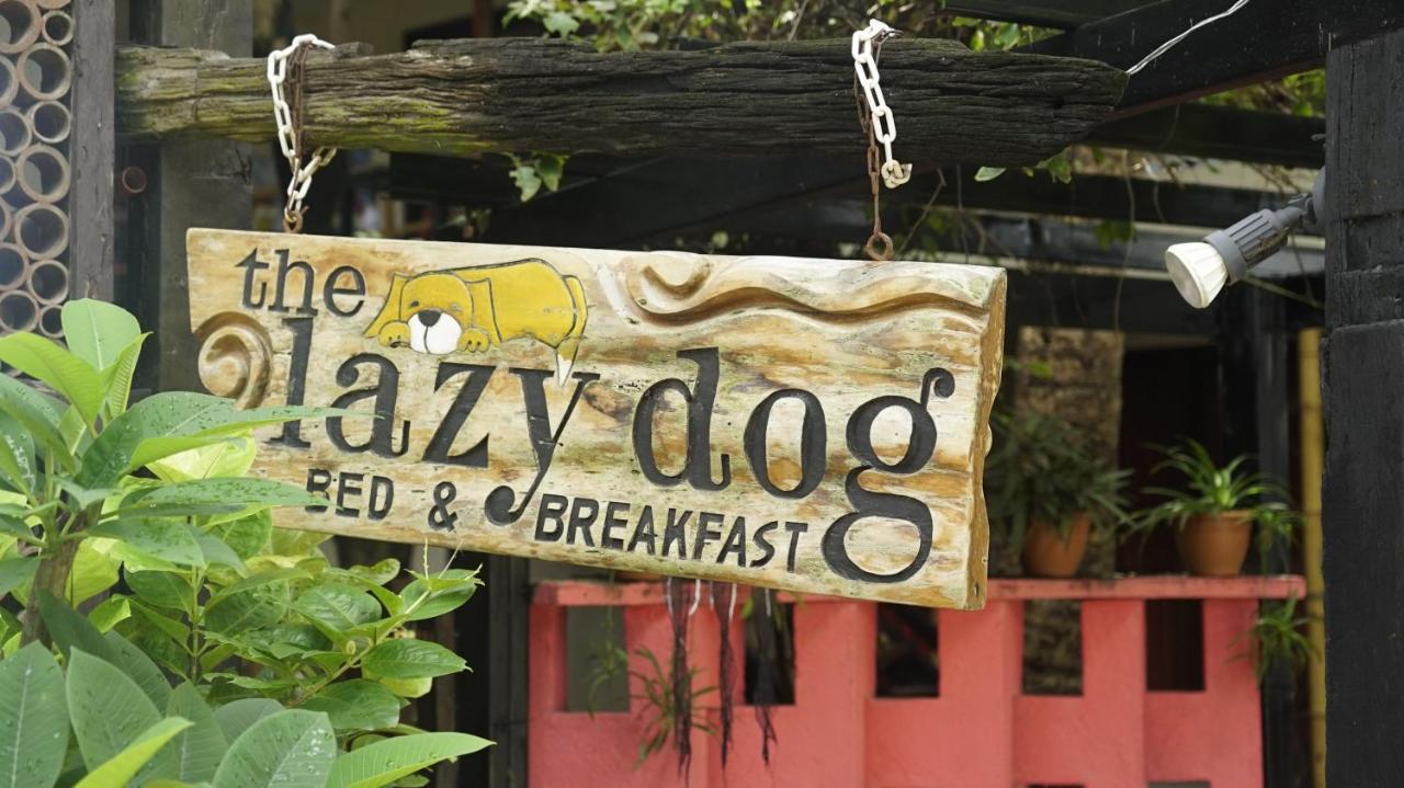 Lazy Dog Bed & Breakfast Balabag  Екстериор снимка